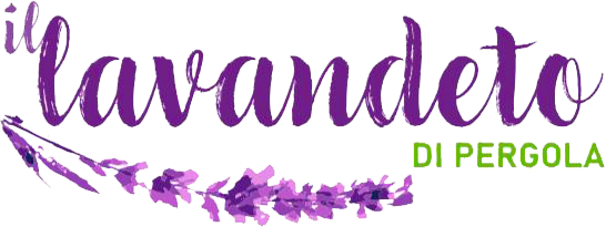 Il Lavandeto – Benessere naturale alla lavanda